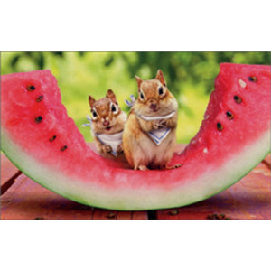 Card - AP/Enclosure - Chipmunk Watermelon