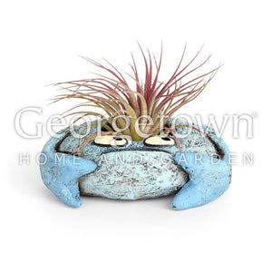 Krusty, Crab Planter